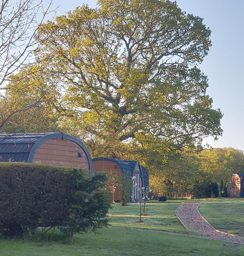Oak Lodge Pods Lowestoft Zewnętrze zdjęcie