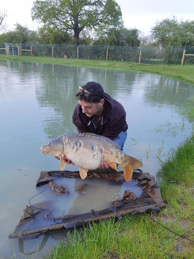Oak Lodge Pods Lowestoft Zewnętrze zdjęcie